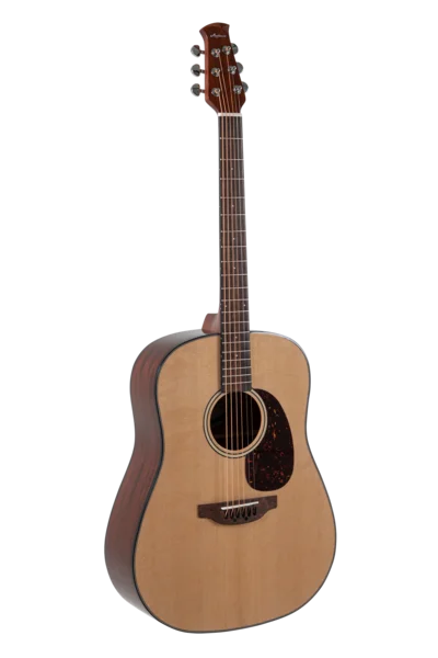 Applause Chitarra acustica Wood Classics AAD96-4 Natural Gloss Naturale lucida | AAD96-4