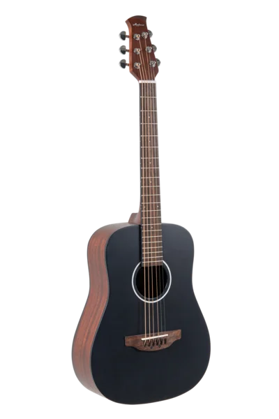 Applause Chitarra acustica Wood Classics AAT96-4S Travel Satinato | AAT96-4S