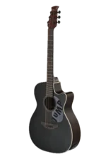 Applause E-Acoustic Guitar Jump Dark Matter