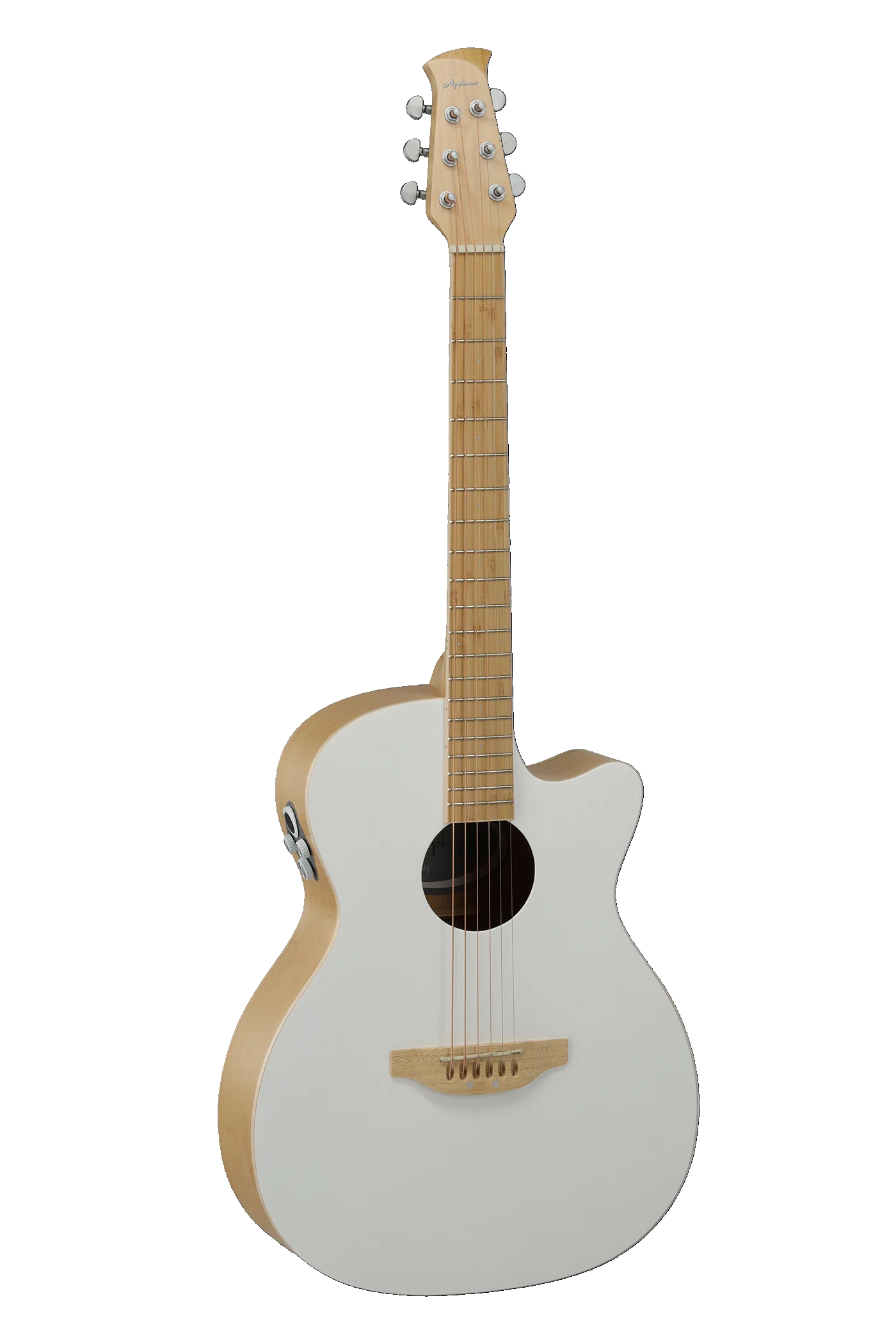 Applause E-Acoustic Guitar Jump Blank Canvas