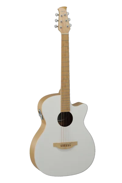 Applause Chitarre elettroacustiche Jump Blank Canvas AEO-69-6P
