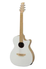 Applause E-Acoustic Guitar Jump Blank Canvas