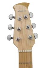 Applause E-Acoustic Guitar Jump Blank Canvas